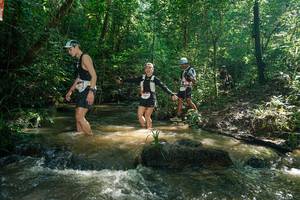 BIB: 
                            <button type="button" onclick="openModal(26781934)" class="btn btn-primary btn-sm float-right btn-popup" data-toggle="modal" data-target=".modal-high-quality">
                        <i class="fas fa-shopping-cart"></i> Add to Cart
                    </button>
                                            <button type="button" onclick="isThisMe(26781934, true)" class="btn btn-success btn-sm float-right btn-popup btn-isme hidden" data-toggle="tooltip" data-placement="bottom" title="นี่คือรูปของคุณใช่ไหม คลิกที่นี่เพื่อเอาเข้าอัลบั้ม">
                        <i class="fas fa-plus"></i> Add to album
                    </button>
                    <button type="button" onclick="isThisMe(26781934, false)" class="btn btn-warning btn-sm float-right btn-popup btn-isnotme hidden">
                        <i class="fas fa-ban"></i> Remove from album
                    </button>