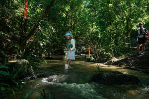 BIB: 
                            <button type="button" onclick="openModal(26783883)" class="btn btn-primary btn-sm float-right btn-popup" data-toggle="modal" data-target=".modal-high-quality">
                        <i class="fas fa-shopping-cart"></i> Add to Cart
                    </button>
                                            <button type="button" onclick="isThisMe(26783883, true)" class="btn btn-success btn-sm float-right btn-popup btn-isme hidden" data-toggle="tooltip" data-placement="bottom" title="นี่คือรูปของคุณใช่ไหม คลิกที่นี่เพื่อเอาเข้าอัลบั้ม">
                        <i class="fas fa-plus"></i> Add to album
                    </button>
                    <button type="button" onclick="isThisMe(26783883, false)" class="btn btn-warning btn-sm float-right btn-popup btn-isnotme hidden">
                        <i class="fas fa-ban"></i> Remove from album
                    </button>