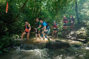 BIB: 
                            <button type="button" onclick="openModal(26782004)" class="btn btn-primary btn-sm float-right btn-popup" data-toggle="modal" data-target=".modal-high-quality">
                        <i class="fas fa-shopping-cart"></i> Add to Cart
                    </button>
                                            <button type="button" onclick="isThisMe(26782004, true)" class="btn btn-success btn-sm float-right btn-popup btn-isme hidden" data-toggle="tooltip" data-placement="bottom" title="นี่คือรูปของคุณใช่ไหม คลิกที่นี่เพื่อเอาเข้าอัลบั้ม">
                        <i class="fas fa-plus"></i> Add to album
                    </button>
                    <button type="button" onclick="isThisMe(26782004, false)" class="btn btn-warning btn-sm float-right btn-popup btn-isnotme hidden">
                        <i class="fas fa-ban"></i> Remove from album
                    </button>