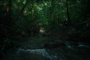 BIB: 
                            <button type="button" onclick="openModal(26785772)" class="btn btn-primary btn-sm float-right btn-popup" data-toggle="modal" data-target=".modal-high-quality">
                        <i class="fas fa-shopping-cart"></i> Add to Cart
                    </button>
                                            <button type="button" onclick="isThisMe(26785772, true)" class="btn btn-success btn-sm float-right btn-popup btn-isme hidden" data-toggle="tooltip" data-placement="bottom" title="นี่คือรูปของคุณใช่ไหม คลิกที่นี่เพื่อเอาเข้าอัลบั้ม">
                        <i class="fas fa-plus"></i> Add to album
                    </button>
                    <button type="button" onclick="isThisMe(26785772, false)" class="btn btn-warning btn-sm float-right btn-popup btn-isnotme hidden">
                        <i class="fas fa-ban"></i> Remove from album
                    </button>