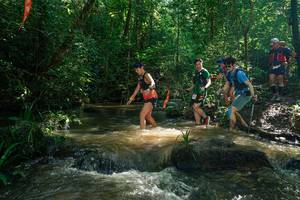 BIB: 
                            <button type="button" onclick="openModal(26781990)" class="btn btn-primary btn-sm float-right btn-popup" data-toggle="modal" data-target=".modal-high-quality">
                        <i class="fas fa-shopping-cart"></i> Add to Cart
                    </button>
                                            <button type="button" onclick="isThisMe(26781990, true)" class="btn btn-success btn-sm float-right btn-popup btn-isme hidden" data-toggle="tooltip" data-placement="bottom" title="นี่คือรูปของคุณใช่ไหม คลิกที่นี่เพื่อเอาเข้าอัลบั้ม">
                        <i class="fas fa-plus"></i> Add to album
                    </button>
                    <button type="button" onclick="isThisMe(26781990, false)" class="btn btn-warning btn-sm float-right btn-popup btn-isnotme hidden">
                        <i class="fas fa-ban"></i> Remove from album
                    </button>