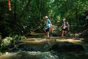 BIB: 
                            <button type="button" onclick="openModal(26783233)" class="btn btn-primary btn-sm float-right btn-popup" data-toggle="modal" data-target=".modal-high-quality">
                        <i class="fas fa-shopping-cart"></i> Add to Cart
                    </button>
                                            <button type="button" onclick="isThisMe(26783233, true)" class="btn btn-success btn-sm float-right btn-popup btn-isme hidden" data-toggle="tooltip" data-placement="bottom" title="นี่คือรูปของคุณใช่ไหม คลิกที่นี่เพื่อเอาเข้าอัลบั้ม">
                        <i class="fas fa-plus"></i> Add to album
                    </button>
                    <button type="button" onclick="isThisMe(26783233, false)" class="btn btn-warning btn-sm float-right btn-popup btn-isnotme hidden">
                        <i class="fas fa-ban"></i> Remove from album
                    </button>