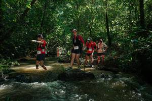 BIB: 
                            <button type="button" onclick="openModal(26783184)" class="btn btn-primary btn-sm float-right btn-popup" data-toggle="modal" data-target=".modal-high-quality">
                        <i class="fas fa-shopping-cart"></i> Add to Cart
                    </button>
                                            <button type="button" onclick="isThisMe(26783184, true)" class="btn btn-success btn-sm float-right btn-popup btn-isme hidden" data-toggle="tooltip" data-placement="bottom" title="นี่คือรูปของคุณใช่ไหม คลิกที่นี่เพื่อเอาเข้าอัลบั้ม">
                        <i class="fas fa-plus"></i> Add to album
                    </button>
                    <button type="button" onclick="isThisMe(26783184, false)" class="btn btn-warning btn-sm float-right btn-popup btn-isnotme hidden">
                        <i class="fas fa-ban"></i> Remove from album
                    </button>