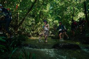 BIB: 
                            <button type="button" onclick="openModal(26784496)" class="btn btn-primary btn-sm float-right btn-popup" data-toggle="modal" data-target=".modal-high-quality">
                        <i class="fas fa-shopping-cart"></i> Add to Cart
                    </button>
                                            <button type="button" onclick="isThisMe(26784496, true)" class="btn btn-success btn-sm float-right btn-popup btn-isme hidden" data-toggle="tooltip" data-placement="bottom" title="นี่คือรูปของคุณใช่ไหม คลิกที่นี่เพื่อเอาเข้าอัลบั้ม">
                        <i class="fas fa-plus"></i> Add to album
                    </button>
                    <button type="button" onclick="isThisMe(26784496, false)" class="btn btn-warning btn-sm float-right btn-popup btn-isnotme hidden">
                        <i class="fas fa-ban"></i> Remove from album
                    </button>