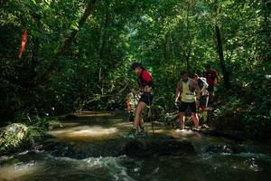 BIB: 
                            <button type="button" onclick="openModal(26783125)" class="btn btn-primary btn-sm float-right btn-popup" data-toggle="modal" data-target=".modal-high-quality">
                        <i class="fas fa-shopping-cart"></i> Add to Cart
                    </button>
                                            <button type="button" onclick="isThisMe(26783125, true)" class="btn btn-success btn-sm float-right btn-popup btn-isme hidden" data-toggle="tooltip" data-placement="bottom" title="นี่คือรูปของคุณใช่ไหม คลิกที่นี่เพื่อเอาเข้าอัลบั้ม">
                        <i class="fas fa-plus"></i> Add to album
                    </button>
                    <button type="button" onclick="isThisMe(26783125, false)" class="btn btn-warning btn-sm float-right btn-popup btn-isnotme hidden">
                        <i class="fas fa-ban"></i> Remove from album
                    </button>