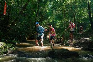 BIB: 
                            <button type="button" onclick="openModal(26783031)" class="btn btn-primary btn-sm float-right btn-popup" data-toggle="modal" data-target=".modal-high-quality">
                        <i class="fas fa-shopping-cart"></i> Add to Cart
                    </button>
                                            <button type="button" onclick="isThisMe(26783031, true)" class="btn btn-success btn-sm float-right btn-popup btn-isme hidden" data-toggle="tooltip" data-placement="bottom" title="นี่คือรูปของคุณใช่ไหม คลิกที่นี่เพื่อเอาเข้าอัลบั้ม">
                        <i class="fas fa-plus"></i> Add to album
                    </button>
                    <button type="button" onclick="isThisMe(26783031, false)" class="btn btn-warning btn-sm float-right btn-popup btn-isnotme hidden">
                        <i class="fas fa-ban"></i> Remove from album
                    </button>