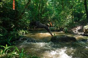 BIB: 
                            <button type="button" onclick="openModal(26782081)" class="btn btn-primary btn-sm float-right btn-popup" data-toggle="modal" data-target=".modal-high-quality">
                        <i class="fas fa-shopping-cart"></i> Add to Cart
                    </button>
                                            <button type="button" onclick="isThisMe(26782081, true)" class="btn btn-success btn-sm float-right btn-popup btn-isme hidden" data-toggle="tooltip" data-placement="bottom" title="นี่คือรูปของคุณใช่ไหม คลิกที่นี่เพื่อเอาเข้าอัลบั้ม">
                        <i class="fas fa-plus"></i> Add to album
                    </button>
                    <button type="button" onclick="isThisMe(26782081, false)" class="btn btn-warning btn-sm float-right btn-popup btn-isnotme hidden">
                        <i class="fas fa-ban"></i> Remove from album
                    </button>