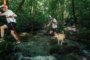 BIB: 
                            <button type="button" onclick="openModal(26677974)" class="btn btn-primary btn-sm float-right btn-popup" data-toggle="modal" data-target=".modal-high-quality">
                        <i class="fas fa-shopping-cart"></i> Add to Cart
                    </button>
                                            <button type="button" onclick="isThisMe(26677974, true)" class="btn btn-success btn-sm float-right btn-popup btn-isme hidden" data-toggle="tooltip" data-placement="bottom" title="นี่คือรูปของคุณใช่ไหม คลิกที่นี่เพื่อเอาเข้าอัลบั้ม">
                        <i class="fas fa-plus"></i> Add to album
                    </button>
                    <button type="button" onclick="isThisMe(26677974, false)" class="btn btn-warning btn-sm float-right btn-popup btn-isnotme hidden">
                        <i class="fas fa-ban"></i> Remove from album
                    </button>