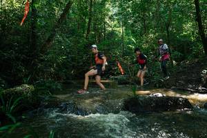 BIB: 
                            <button type="button" onclick="openModal(26778906)" class="btn btn-primary btn-sm float-right btn-popup" data-toggle="modal" data-target=".modal-high-quality">
                        <i class="fas fa-shopping-cart"></i> Add to Cart
                    </button>
                                            <button type="button" onclick="isThisMe(26778906, true)" class="btn btn-success btn-sm float-right btn-popup btn-isme hidden" data-toggle="tooltip" data-placement="bottom" title="นี่คือรูปของคุณใช่ไหม คลิกที่นี่เพื่อเอาเข้าอัลบั้ม">
                        <i class="fas fa-plus"></i> Add to album
                    </button>
                    <button type="button" onclick="isThisMe(26778906, false)" class="btn btn-warning btn-sm float-right btn-popup btn-isnotme hidden">
                        <i class="fas fa-ban"></i> Remove from album
                    </button>