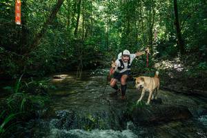 BIB: 
                            <button type="button" onclick="openModal(26678067)" class="btn btn-primary btn-sm float-right btn-popup" data-toggle="modal" data-target=".modal-high-quality">
                        <i class="fas fa-shopping-cart"></i> Add to Cart
                    </button>
                                            <button type="button" onclick="isThisMe(26678067, true)" class="btn btn-success btn-sm float-right btn-popup btn-isme hidden" data-toggle="tooltip" data-placement="bottom" title="นี่คือรูปของคุณใช่ไหม คลิกที่นี่เพื่อเอาเข้าอัลบั้ม">
                        <i class="fas fa-plus"></i> Add to album
                    </button>
                    <button type="button" onclick="isThisMe(26678067, false)" class="btn btn-warning btn-sm float-right btn-popup btn-isnotme hidden">
                        <i class="fas fa-ban"></i> Remove from album
                    </button>