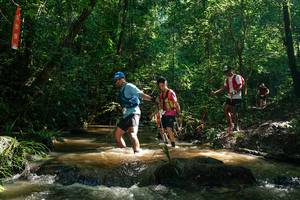 BIB: 
                            <button type="button" onclick="openModal(26783030)" class="btn btn-primary btn-sm float-right btn-popup" data-toggle="modal" data-target=".modal-high-quality">
                        <i class="fas fa-shopping-cart"></i> Add to Cart
                    </button>
                                            <button type="button" onclick="isThisMe(26783030, true)" class="btn btn-success btn-sm float-right btn-popup btn-isme hidden" data-toggle="tooltip" data-placement="bottom" title="นี่คือรูปของคุณใช่ไหม คลิกที่นี่เพื่อเอาเข้าอัลบั้ม">
                        <i class="fas fa-plus"></i> Add to album
                    </button>
                    <button type="button" onclick="isThisMe(26783030, false)" class="btn btn-warning btn-sm float-right btn-popup btn-isnotme hidden">
                        <i class="fas fa-ban"></i> Remove from album
                    </button>