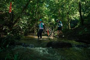 BIB: 
                            <button type="button" onclick="openModal(26784263)" class="btn btn-primary btn-sm float-right btn-popup" data-toggle="modal" data-target=".modal-high-quality">
                        <i class="fas fa-shopping-cart"></i> Add to Cart
                    </button>
                                            <button type="button" onclick="isThisMe(26784263, true)" class="btn btn-success btn-sm float-right btn-popup btn-isme hidden" data-toggle="tooltip" data-placement="bottom" title="นี่คือรูปของคุณใช่ไหม คลิกที่นี่เพื่อเอาเข้าอัลบั้ม">
                        <i class="fas fa-plus"></i> Add to album
                    </button>
                    <button type="button" onclick="isThisMe(26784263, false)" class="btn btn-warning btn-sm float-right btn-popup btn-isnotme hidden">
                        <i class="fas fa-ban"></i> Remove from album
                    </button>