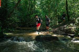 BIB: 
                            <button type="button" onclick="openModal(26779795)" class="btn btn-primary btn-sm float-right btn-popup" data-toggle="modal" data-target=".modal-high-quality">
                        <i class="fas fa-shopping-cart"></i> Add to Cart
                    </button>
                                            <button type="button" onclick="isThisMe(26779795, true)" class="btn btn-success btn-sm float-right btn-popup btn-isme hidden" data-toggle="tooltip" data-placement="bottom" title="นี่คือรูปของคุณใช่ไหม คลิกที่นี่เพื่อเอาเข้าอัลบั้ม">
                        <i class="fas fa-plus"></i> Add to album
                    </button>
                    <button type="button" onclick="isThisMe(26779795, false)" class="btn btn-warning btn-sm float-right btn-popup btn-isnotme hidden">
                        <i class="fas fa-ban"></i> Remove from album
                    </button>