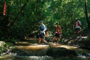 BIB: 
                            <button type="button" onclick="openModal(26783028)" class="btn btn-primary btn-sm float-right btn-popup" data-toggle="modal" data-target=".modal-high-quality">
                        <i class="fas fa-shopping-cart"></i> Add to Cart
                    </button>
                                            <button type="button" onclick="isThisMe(26783028, true)" class="btn btn-success btn-sm float-right btn-popup btn-isme hidden" data-toggle="tooltip" data-placement="bottom" title="นี่คือรูปของคุณใช่ไหม คลิกที่นี่เพื่อเอาเข้าอัลบั้ม">
                        <i class="fas fa-plus"></i> Add to album
                    </button>
                    <button type="button" onclick="isThisMe(26783028, false)" class="btn btn-warning btn-sm float-right btn-popup btn-isnotme hidden">
                        <i class="fas fa-ban"></i> Remove from album
                    </button>