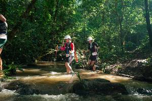 BIB: 
                            <button type="button" onclick="openModal(26783012)" class="btn btn-primary btn-sm float-right btn-popup" data-toggle="modal" data-target=".modal-high-quality">
                        <i class="fas fa-shopping-cart"></i> Add to Cart
                    </button>
                                            <button type="button" onclick="isThisMe(26783012, true)" class="btn btn-success btn-sm float-right btn-popup btn-isme hidden" data-toggle="tooltip" data-placement="bottom" title="นี่คือรูปของคุณใช่ไหม คลิกที่นี่เพื่อเอาเข้าอัลบั้ม">
                        <i class="fas fa-plus"></i> Add to album
                    </button>
                    <button type="button" onclick="isThisMe(26783012, false)" class="btn btn-warning btn-sm float-right btn-popup btn-isnotme hidden">
                        <i class="fas fa-ban"></i> Remove from album
                    </button>