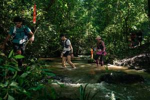 BIB: 
                            <button type="button" onclick="openModal(26783756)" class="btn btn-primary btn-sm float-right btn-popup" data-toggle="modal" data-target=".modal-high-quality">
                        <i class="fas fa-shopping-cart"></i> Add to Cart
                    </button>
                                            <button type="button" onclick="isThisMe(26783756, true)" class="btn btn-success btn-sm float-right btn-popup btn-isme hidden" data-toggle="tooltip" data-placement="bottom" title="นี่คือรูปของคุณใช่ไหม คลิกที่นี่เพื่อเอาเข้าอัลบั้ม">
                        <i class="fas fa-plus"></i> Add to album
                    </button>
                    <button type="button" onclick="isThisMe(26783756, false)" class="btn btn-warning btn-sm float-right btn-popup btn-isnotme hidden">
                        <i class="fas fa-ban"></i> Remove from album
                    </button>