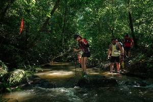 BIB: 
                            <button type="button" onclick="openModal(26783127)" class="btn btn-primary btn-sm float-right btn-popup" data-toggle="modal" data-target=".modal-high-quality">
                        <i class="fas fa-shopping-cart"></i> Add to Cart
                    </button>
                                            <button type="button" onclick="isThisMe(26783127, true)" class="btn btn-success btn-sm float-right btn-popup btn-isme hidden" data-toggle="tooltip" data-placement="bottom" title="นี่คือรูปของคุณใช่ไหม คลิกที่นี่เพื่อเอาเข้าอัลบั้ม">
                        <i class="fas fa-plus"></i> Add to album
                    </button>
                    <button type="button" onclick="isThisMe(26783127, false)" class="btn btn-warning btn-sm float-right btn-popup btn-isnotme hidden">
                        <i class="fas fa-ban"></i> Remove from album
                    </button>