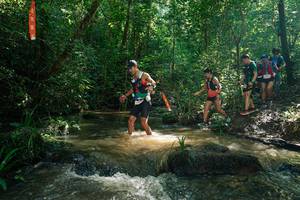 BIB: 
                            <button type="button" onclick="openModal(26781978)" class="btn btn-primary btn-sm float-right btn-popup" data-toggle="modal" data-target=".modal-high-quality">
                        <i class="fas fa-shopping-cart"></i> Add to Cart
                    </button>
                                            <button type="button" onclick="isThisMe(26781978, true)" class="btn btn-success btn-sm float-right btn-popup btn-isme hidden" data-toggle="tooltip" data-placement="bottom" title="นี่คือรูปของคุณใช่ไหม คลิกที่นี่เพื่อเอาเข้าอัลบั้ม">
                        <i class="fas fa-plus"></i> Add to album
                    </button>
                    <button type="button" onclick="isThisMe(26781978, false)" class="btn btn-warning btn-sm float-right btn-popup btn-isnotme hidden">
                        <i class="fas fa-ban"></i> Remove from album
                    </button>