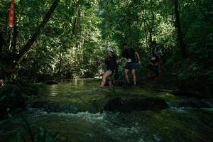 BIB: 
                            <button type="button" onclick="openModal(26784719)" class="btn btn-primary btn-sm float-right btn-popup" data-toggle="modal" data-target=".modal-high-quality">
                        <i class="fas fa-shopping-cart"></i> Add to Cart
                    </button>
                                            <button type="button" onclick="isThisMe(26784719, true)" class="btn btn-success btn-sm float-right btn-popup btn-isme hidden" data-toggle="tooltip" data-placement="bottom" title="นี่คือรูปของคุณใช่ไหม คลิกที่นี่เพื่อเอาเข้าอัลบั้ม">
                        <i class="fas fa-plus"></i> Add to album
                    </button>
                    <button type="button" onclick="isThisMe(26784719, false)" class="btn btn-warning btn-sm float-right btn-popup btn-isnotme hidden">
                        <i class="fas fa-ban"></i> Remove from album
                    </button>