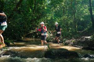 BIB: 
                            <button type="button" onclick="openModal(26783010)" class="btn btn-primary btn-sm float-right btn-popup" data-toggle="modal" data-target=".modal-high-quality">
                        <i class="fas fa-shopping-cart"></i> Add to Cart
                    </button>
                                            <button type="button" onclick="isThisMe(26783010, true)" class="btn btn-success btn-sm float-right btn-popup btn-isme hidden" data-toggle="tooltip" data-placement="bottom" title="นี่คือรูปของคุณใช่ไหม คลิกที่นี่เพื่อเอาเข้าอัลบั้ม">
                        <i class="fas fa-plus"></i> Add to album
                    </button>
                    <button type="button" onclick="isThisMe(26783010, false)" class="btn btn-warning btn-sm float-right btn-popup btn-isnotme hidden">
                        <i class="fas fa-ban"></i> Remove from album
                    </button>