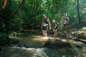 BIB: 
                            <button type="button" onclick="openModal(26781925)" class="btn btn-primary btn-sm float-right btn-popup" data-toggle="modal" data-target=".modal-high-quality">
                        <i class="fas fa-shopping-cart"></i> Add to Cart
                    </button>
                                            <button type="button" onclick="isThisMe(26781925, true)" class="btn btn-success btn-sm float-right btn-popup btn-isme hidden" data-toggle="tooltip" data-placement="bottom" title="นี่คือรูปของคุณใช่ไหม คลิกที่นี่เพื่อเอาเข้าอัลบั้ม">
                        <i class="fas fa-plus"></i> Add to album
                    </button>
                    <button type="button" onclick="isThisMe(26781925, false)" class="btn btn-warning btn-sm float-right btn-popup btn-isnotme hidden">
                        <i class="fas fa-ban"></i> Remove from album
                    </button>