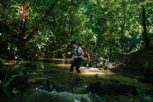 BIB: 
                            <button type="button" onclick="openModal(26784031)" class="btn btn-primary btn-sm float-right btn-popup" data-toggle="modal" data-target=".modal-high-quality">
                        <i class="fas fa-shopping-cart"></i> Add to Cart
                    </button>
                                            <button type="button" onclick="isThisMe(26784031, true)" class="btn btn-success btn-sm float-right btn-popup btn-isme hidden" data-toggle="tooltip" data-placement="bottom" title="นี่คือรูปของคุณใช่ไหม คลิกที่นี่เพื่อเอาเข้าอัลบั้ม">
                        <i class="fas fa-plus"></i> Add to album
                    </button>
                    <button type="button" onclick="isThisMe(26784031, false)" class="btn btn-warning btn-sm float-right btn-popup btn-isnotme hidden">
                        <i class="fas fa-ban"></i> Remove from album
                    </button>