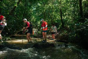 BIB: 
                            <button type="button" onclick="openModal(26783196)" class="btn btn-primary btn-sm float-right btn-popup" data-toggle="modal" data-target=".modal-high-quality">
                        <i class="fas fa-shopping-cart"></i> Add to Cart
                    </button>
                                            <button type="button" onclick="isThisMe(26783196, true)" class="btn btn-success btn-sm float-right btn-popup btn-isme hidden" data-toggle="tooltip" data-placement="bottom" title="นี่คือรูปของคุณใช่ไหม คลิกที่นี่เพื่อเอาเข้าอัลบั้ม">
                        <i class="fas fa-plus"></i> Add to album
                    </button>
                    <button type="button" onclick="isThisMe(26783196, false)" class="btn btn-warning btn-sm float-right btn-popup btn-isnotme hidden">
                        <i class="fas fa-ban"></i> Remove from album
                    </button>