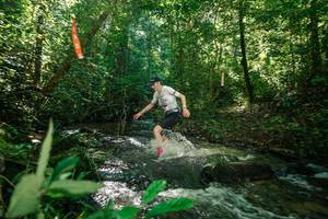 BIB: 
                            <button type="button" onclick="openModal(26646763)" class="btn btn-primary btn-sm float-right btn-popup" data-toggle="modal" data-target=".modal-high-quality">
                        <i class="fas fa-shopping-cart"></i> Add to Cart
                    </button>
                                            <button type="button" onclick="isThisMe(26646763, true)" class="btn btn-success btn-sm float-right btn-popup btn-isme hidden" data-toggle="tooltip" data-placement="bottom" title="นี่คือรูปของคุณใช่ไหม คลิกที่นี่เพื่อเอาเข้าอัลบั้ม">
                        <i class="fas fa-plus"></i> Add to album
                    </button>
                    <button type="button" onclick="isThisMe(26646763, false)" class="btn btn-warning btn-sm float-right btn-popup btn-isnotme hidden">
                        <i class="fas fa-ban"></i> Remove from album
                    </button>