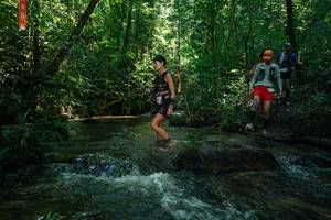 BIB: 
                            <button type="button" onclick="openModal(26777098)" class="btn btn-primary btn-sm float-right btn-popup" data-toggle="modal" data-target=".modal-high-quality">
                        <i class="fas fa-shopping-cart"></i> Add to Cart
                    </button>
                                            <button type="button" onclick="isThisMe(26777098, true)" class="btn btn-success btn-sm float-right btn-popup btn-isme hidden" data-toggle="tooltip" data-placement="bottom" title="นี่คือรูปของคุณใช่ไหม คลิกที่นี่เพื่อเอาเข้าอัลบั้ม">
                        <i class="fas fa-plus"></i> Add to album
                    </button>
                    <button type="button" onclick="isThisMe(26777098, false)" class="btn btn-warning btn-sm float-right btn-popup btn-isnotme hidden">
                        <i class="fas fa-ban"></i> Remove from album
                    </button>