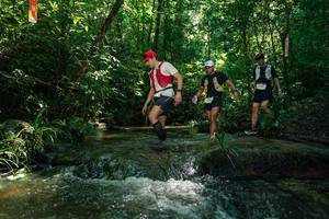 BIB: 
                            <button type="button" onclick="openModal(26697224)" class="btn btn-primary btn-sm float-right btn-popup" data-toggle="modal" data-target=".modal-high-quality">
                        <i class="fas fa-shopping-cart"></i> Add to Cart
                    </button>
                                            <button type="button" onclick="isThisMe(26697224, true)" class="btn btn-success btn-sm float-right btn-popup btn-isme hidden" data-toggle="tooltip" data-placement="bottom" title="นี่คือรูปของคุณใช่ไหม คลิกที่นี่เพื่อเอาเข้าอัลบั้ม">
                        <i class="fas fa-plus"></i> Add to album
                    </button>
                    <button type="button" onclick="isThisMe(26697224, false)" class="btn btn-warning btn-sm float-right btn-popup btn-isnotme hidden">
                        <i class="fas fa-ban"></i> Remove from album
                    </button>