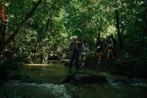 BIB: 
                            <button type="button" onclick="openModal(26784486)" class="btn btn-primary btn-sm float-right btn-popup" data-toggle="modal" data-target=".modal-high-quality">
                        <i class="fas fa-shopping-cart"></i> Add to Cart
                    </button>
                                            <button type="button" onclick="isThisMe(26784486, true)" class="btn btn-success btn-sm float-right btn-popup btn-isme hidden" data-toggle="tooltip" data-placement="bottom" title="นี่คือรูปของคุณใช่ไหม คลิกที่นี่เพื่อเอาเข้าอัลบั้ม">
                        <i class="fas fa-plus"></i> Add to album
                    </button>
                    <button type="button" onclick="isThisMe(26784486, false)" class="btn btn-warning btn-sm float-right btn-popup btn-isnotme hidden">
                        <i class="fas fa-ban"></i> Remove from album
                    </button>