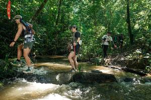 BIB: 
                            <button type="button" onclick="openModal(26782455)" class="btn btn-primary btn-sm float-right btn-popup" data-toggle="modal" data-target=".modal-high-quality">
                        <i class="fas fa-shopping-cart"></i> Add to Cart
                    </button>
                                            <button type="button" onclick="isThisMe(26782455, true)" class="btn btn-success btn-sm float-right btn-popup btn-isme hidden" data-toggle="tooltip" data-placement="bottom" title="นี่คือรูปของคุณใช่ไหม คลิกที่นี่เพื่อเอาเข้าอัลบั้ม">
                        <i class="fas fa-plus"></i> Add to album
                    </button>
                    <button type="button" onclick="isThisMe(26782455, false)" class="btn btn-warning btn-sm float-right btn-popup btn-isnotme hidden">
                        <i class="fas fa-ban"></i> Remove from album
                    </button>