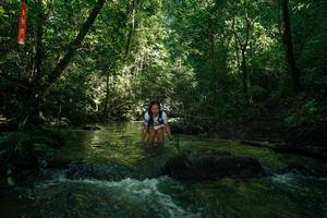 BIB: 
                            <button type="button" onclick="openModal(26784768)" class="btn btn-primary btn-sm float-right btn-popup" data-toggle="modal" data-target=".modal-high-quality">
                        <i class="fas fa-shopping-cart"></i> Add to Cart
                    </button>
                                            <button type="button" onclick="isThisMe(26784768, true)" class="btn btn-success btn-sm float-right btn-popup btn-isme hidden" data-toggle="tooltip" data-placement="bottom" title="นี่คือรูปของคุณใช่ไหม คลิกที่นี่เพื่อเอาเข้าอัลบั้ม">
                        <i class="fas fa-plus"></i> Add to album
                    </button>
                    <button type="button" onclick="isThisMe(26784768, false)" class="btn btn-warning btn-sm float-right btn-popup btn-isnotme hidden">
                        <i class="fas fa-ban"></i> Remove from album
                    </button>