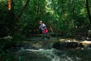 BIB: 
                            <button type="button" onclick="openModal(26778937)" class="btn btn-primary btn-sm float-right btn-popup" data-toggle="modal" data-target=".modal-high-quality">
                        <i class="fas fa-shopping-cart"></i> Add to Cart
                    </button>
                                            <button type="button" onclick="isThisMe(26778937, true)" class="btn btn-success btn-sm float-right btn-popup btn-isme hidden" data-toggle="tooltip" data-placement="bottom" title="นี่คือรูปของคุณใช่ไหม คลิกที่นี่เพื่อเอาเข้าอัลบั้ม">
                        <i class="fas fa-plus"></i> Add to album
                    </button>
                    <button type="button" onclick="isThisMe(26778937, false)" class="btn btn-warning btn-sm float-right btn-popup btn-isnotme hidden">
                        <i class="fas fa-ban"></i> Remove from album
                    </button>