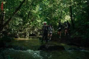 BIB: 
                            <button type="button" onclick="openModal(26784484)" class="btn btn-primary btn-sm float-right btn-popup" data-toggle="modal" data-target=".modal-high-quality">
                        <i class="fas fa-shopping-cart"></i> Add to Cart
                    </button>
                                            <button type="button" onclick="isThisMe(26784484, true)" class="btn btn-success btn-sm float-right btn-popup btn-isme hidden" data-toggle="tooltip" data-placement="bottom" title="นี่คือรูปของคุณใช่ไหม คลิกที่นี่เพื่อเอาเข้าอัลบั้ม">
                        <i class="fas fa-plus"></i> Add to album
                    </button>
                    <button type="button" onclick="isThisMe(26784484, false)" class="btn btn-warning btn-sm float-right btn-popup btn-isnotme hidden">
                        <i class="fas fa-ban"></i> Remove from album
                    </button>