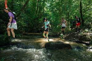 BIB: 
                            <button type="button" onclick="openModal(26779741)" class="btn btn-primary btn-sm float-right btn-popup" data-toggle="modal" data-target=".modal-high-quality">
                        <i class="fas fa-shopping-cart"></i> Add to Cart
                    </button>
                                            <button type="button" onclick="isThisMe(26779741, true)" class="btn btn-success btn-sm float-right btn-popup btn-isme hidden" data-toggle="tooltip" data-placement="bottom" title="นี่คือรูปของคุณใช่ไหม คลิกที่นี่เพื่อเอาเข้าอัลบั้ม">
                        <i class="fas fa-plus"></i> Add to album
                    </button>
                    <button type="button" onclick="isThisMe(26779741, false)" class="btn btn-warning btn-sm float-right btn-popup btn-isnotme hidden">
                        <i class="fas fa-ban"></i> Remove from album
                    </button>