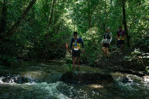 BIB: 
                            <button type="button" onclick="openModal(26778199)" class="btn btn-primary btn-sm float-right btn-popup" data-toggle="modal" data-target=".modal-high-quality">
                        <i class="fas fa-shopping-cart"></i> Add to Cart
                    </button>
                                            <button type="button" onclick="isThisMe(26778199, true)" class="btn btn-success btn-sm float-right btn-popup btn-isme hidden" data-toggle="tooltip" data-placement="bottom" title="นี่คือรูปของคุณใช่ไหม คลิกที่นี่เพื่อเอาเข้าอัลบั้ม">
                        <i class="fas fa-plus"></i> Add to album
                    </button>
                    <button type="button" onclick="isThisMe(26778199, false)" class="btn btn-warning btn-sm float-right btn-popup btn-isnotme hidden">
                        <i class="fas fa-ban"></i> Remove from album
                    </button>