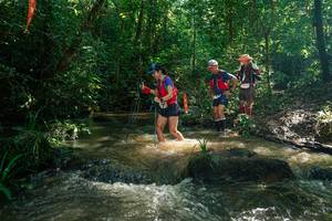 BIB: 
                            <button type="button" onclick="openModal(26782017)" class="btn btn-primary btn-sm float-right btn-popup" data-toggle="modal" data-target=".modal-high-quality">
                        <i class="fas fa-shopping-cart"></i> Add to Cart
                    </button>
                                            <button type="button" onclick="isThisMe(26782017, true)" class="btn btn-success btn-sm float-right btn-popup btn-isme hidden" data-toggle="tooltip" data-placement="bottom" title="นี่คือรูปของคุณใช่ไหม คลิกที่นี่เพื่อเอาเข้าอัลบั้ม">
                        <i class="fas fa-plus"></i> Add to album
                    </button>
                    <button type="button" onclick="isThisMe(26782017, false)" class="btn btn-warning btn-sm float-right btn-popup btn-isnotme hidden">
                        <i class="fas fa-ban"></i> Remove from album
                    </button>