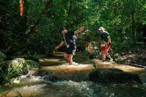 BIB: 
                            <button type="button" onclick="openModal(26782922)" class="btn btn-primary btn-sm float-right btn-popup" data-toggle="modal" data-target=".modal-high-quality">
                        <i class="fas fa-shopping-cart"></i> Add to Cart
                    </button>
                                            <button type="button" onclick="isThisMe(26782922, true)" class="btn btn-success btn-sm float-right btn-popup btn-isme hidden" data-toggle="tooltip" data-placement="bottom" title="นี่คือรูปของคุณใช่ไหม คลิกที่นี่เพื่อเอาเข้าอัลบั้ม">
                        <i class="fas fa-plus"></i> Add to album
                    </button>
                    <button type="button" onclick="isThisMe(26782922, false)" class="btn btn-warning btn-sm float-right btn-popup btn-isnotme hidden">
                        <i class="fas fa-ban"></i> Remove from album
                    </button>