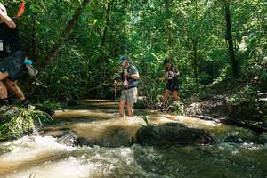 BIB: 
                            <button type="button" onclick="openModal(26782784)" class="btn btn-primary btn-sm float-right btn-popup" data-toggle="modal" data-target=".modal-high-quality">
                        <i class="fas fa-shopping-cart"></i> Add to Cart
                    </button>
                                            <button type="button" onclick="isThisMe(26782784, true)" class="btn btn-success btn-sm float-right btn-popup btn-isme hidden" data-toggle="tooltip" data-placement="bottom" title="นี่คือรูปของคุณใช่ไหม คลิกที่นี่เพื่อเอาเข้าอัลบั้ม">
                        <i class="fas fa-plus"></i> Add to album
                    </button>
                    <button type="button" onclick="isThisMe(26782784, false)" class="btn btn-warning btn-sm float-right btn-popup btn-isnotme hidden">
                        <i class="fas fa-ban"></i> Remove from album
                    </button>