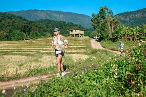 BIB: 
                            <button type="button" onclick="openModal(26713991)" class="btn btn-primary btn-sm float-right btn-popup" data-toggle="modal" data-target=".modal-high-quality">
                        <i class="fas fa-shopping-cart"></i> Add to Cart
                    </button>
                                            <button type="button" onclick="isThisMe(26713991, true)" class="btn btn-success btn-sm float-right btn-popup btn-isme hidden" data-toggle="tooltip" data-placement="bottom" title="นี่คือรูปของคุณใช่ไหม คลิกที่นี่เพื่อเอาเข้าอัลบั้ม">
                        <i class="fas fa-plus"></i> Add to album
                    </button>
                    <button type="button" onclick="isThisMe(26713991, false)" class="btn btn-warning btn-sm float-right btn-popup btn-isnotme hidden">
                        <i class="fas fa-ban"></i> Remove from album
                    </button>