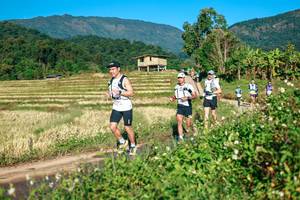 BIB: 
                            <button type="button" onclick="openModal(26714788)" class="btn btn-primary btn-sm float-right btn-popup" data-toggle="modal" data-target=".modal-high-quality">
                        <i class="fas fa-shopping-cart"></i> Add to Cart
                    </button>
                                            <button type="button" onclick="isThisMe(26714788, true)" class="btn btn-success btn-sm float-right btn-popup btn-isme hidden" data-toggle="tooltip" data-placement="bottom" title="นี่คือรูปของคุณใช่ไหม คลิกที่นี่เพื่อเอาเข้าอัลบั้ม">
                        <i class="fas fa-plus"></i> Add to album
                    </button>
                    <button type="button" onclick="isThisMe(26714788, false)" class="btn btn-warning btn-sm float-right btn-popup btn-isnotme hidden">
                        <i class="fas fa-ban"></i> Remove from album
                    </button>