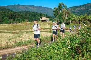 BIB: 
                            <button type="button" onclick="openModal(26714784)" class="btn btn-primary btn-sm float-right btn-popup" data-toggle="modal" data-target=".modal-high-quality">
                        <i class="fas fa-shopping-cart"></i> Add to Cart
                    </button>
                                            <button type="button" onclick="isThisMe(26714784, true)" class="btn btn-success btn-sm float-right btn-popup btn-isme hidden" data-toggle="tooltip" data-placement="bottom" title="นี่คือรูปของคุณใช่ไหม คลิกที่นี่เพื่อเอาเข้าอัลบั้ม">
                        <i class="fas fa-plus"></i> Add to album
                    </button>
                    <button type="button" onclick="isThisMe(26714784, false)" class="btn btn-warning btn-sm float-right btn-popup btn-isnotme hidden">
                        <i class="fas fa-ban"></i> Remove from album
                    </button>