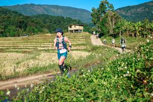 BIB: 
                            <button type="button" onclick="openModal(26714145)" class="btn btn-primary btn-sm float-right btn-popup" data-toggle="modal" data-target=".modal-high-quality">
                        <i class="fas fa-shopping-cart"></i> Add to Cart
                    </button>
                                            <button type="button" onclick="isThisMe(26714145, true)" class="btn btn-success btn-sm float-right btn-popup btn-isme hidden" data-toggle="tooltip" data-placement="bottom" title="นี่คือรูปของคุณใช่ไหม คลิกที่นี่เพื่อเอาเข้าอัลบั้ม">
                        <i class="fas fa-plus"></i> Add to album
                    </button>
                    <button type="button" onclick="isThisMe(26714145, false)" class="btn btn-warning btn-sm float-right btn-popup btn-isnotme hidden">
                        <i class="fas fa-ban"></i> Remove from album
                    </button>