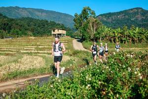 BIB: 
                            <button type="button" onclick="openModal(26713241)" class="btn btn-primary btn-sm float-right btn-popup" data-toggle="modal" data-target=".modal-high-quality">
                        <i class="fas fa-shopping-cart"></i> Add to Cart
                    </button>
                                            <button type="button" onclick="isThisMe(26713241, true)" class="btn btn-success btn-sm float-right btn-popup btn-isme hidden" data-toggle="tooltip" data-placement="bottom" title="นี่คือรูปของคุณใช่ไหม คลิกที่นี่เพื่อเอาเข้าอัลบั้ม">
                        <i class="fas fa-plus"></i> Add to album
                    </button>
                    <button type="button" onclick="isThisMe(26713241, false)" class="btn btn-warning btn-sm float-right btn-popup btn-isnotme hidden">
                        <i class="fas fa-ban"></i> Remove from album
                    </button>