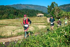 BIB: 
                            <button type="button" onclick="openModal(26714578)" class="btn btn-primary btn-sm float-right btn-popup" data-toggle="modal" data-target=".modal-high-quality">
                        <i class="fas fa-shopping-cart"></i> Add to Cart
                    </button>
                                            <button type="button" onclick="isThisMe(26714578, true)" class="btn btn-success btn-sm float-right btn-popup btn-isme hidden" data-toggle="tooltip" data-placement="bottom" title="นี่คือรูปของคุณใช่ไหม คลิกที่นี่เพื่อเอาเข้าอัลบั้ม">
                        <i class="fas fa-plus"></i> Add to album
                    </button>
                    <button type="button" onclick="isThisMe(26714578, false)" class="btn btn-warning btn-sm float-right btn-popup btn-isnotme hidden">
                        <i class="fas fa-ban"></i> Remove from album
                    </button>