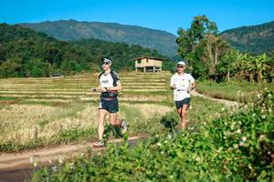 BIB: 
                            <button type="button" onclick="openModal(26713482)" class="btn btn-primary btn-sm float-right btn-popup" data-toggle="modal" data-target=".modal-high-quality">
                        <i class="fas fa-shopping-cart"></i> Add to Cart
                    </button>
                                            <button type="button" onclick="isThisMe(26713482, true)" class="btn btn-success btn-sm float-right btn-popup btn-isme hidden" data-toggle="tooltip" data-placement="bottom" title="นี่คือรูปของคุณใช่ไหม คลิกที่นี่เพื่อเอาเข้าอัลบั้ม">
                        <i class="fas fa-plus"></i> Add to album
                    </button>
                    <button type="button" onclick="isThisMe(26713482, false)" class="btn btn-warning btn-sm float-right btn-popup btn-isnotme hidden">
                        <i class="fas fa-ban"></i> Remove from album
                    </button>