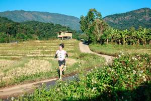 BIB: 
                            <button type="button" onclick="openModal(26713124)" class="btn btn-primary btn-sm float-right btn-popup" data-toggle="modal" data-target=".modal-high-quality">
                        <i class="fas fa-shopping-cart"></i> Add to Cart
                    </button>
                                            <button type="button" onclick="isThisMe(26713124, true)" class="btn btn-success btn-sm float-right btn-popup btn-isme hidden" data-toggle="tooltip" data-placement="bottom" title="นี่คือรูปของคุณใช่ไหม คลิกที่นี่เพื่อเอาเข้าอัลบั้ม">
                        <i class="fas fa-plus"></i> Add to album
                    </button>
                    <button type="button" onclick="isThisMe(26713124, false)" class="btn btn-warning btn-sm float-right btn-popup btn-isnotme hidden">
                        <i class="fas fa-ban"></i> Remove from album
                    </button>