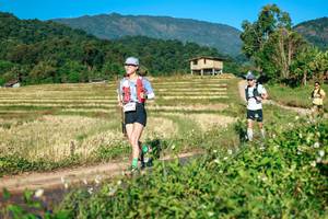 BIB: 
                            <button type="button" onclick="openModal(26714402)" class="btn btn-primary btn-sm float-right btn-popup" data-toggle="modal" data-target=".modal-high-quality">
                        <i class="fas fa-shopping-cart"></i> Add to Cart
                    </button>
                                            <button type="button" onclick="isThisMe(26714402, true)" class="btn btn-success btn-sm float-right btn-popup btn-isme hidden" data-toggle="tooltip" data-placement="bottom" title="นี่คือรูปของคุณใช่ไหม คลิกที่นี่เพื่อเอาเข้าอัลบั้ม">
                        <i class="fas fa-plus"></i> Add to album
                    </button>
                    <button type="button" onclick="isThisMe(26714402, false)" class="btn btn-warning btn-sm float-right btn-popup btn-isnotme hidden">
                        <i class="fas fa-ban"></i> Remove from album
                    </button>