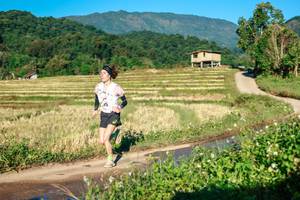 BIB: 
                            <button type="button" onclick="openModal(26713138)" class="btn btn-primary btn-sm float-right btn-popup" data-toggle="modal" data-target=".modal-high-quality">
                        <i class="fas fa-shopping-cart"></i> Add to Cart
                    </button>
                                            <button type="button" onclick="isThisMe(26713138, true)" class="btn btn-success btn-sm float-right btn-popup btn-isme hidden" data-toggle="tooltip" data-placement="bottom" title="นี่คือรูปของคุณใช่ไหม คลิกที่นี่เพื่อเอาเข้าอัลบั้ม">
                        <i class="fas fa-plus"></i> Add to album
                    </button>
                    <button type="button" onclick="isThisMe(26713138, false)" class="btn btn-warning btn-sm float-right btn-popup btn-isnotme hidden">
                        <i class="fas fa-ban"></i> Remove from album
                    </button>